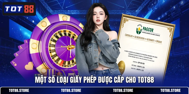 Một số loại giấy phép được cấp cho TOT88