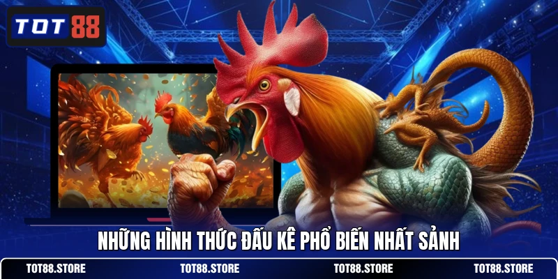 Những hình thức đấu kê phổ biến nhất sảnh